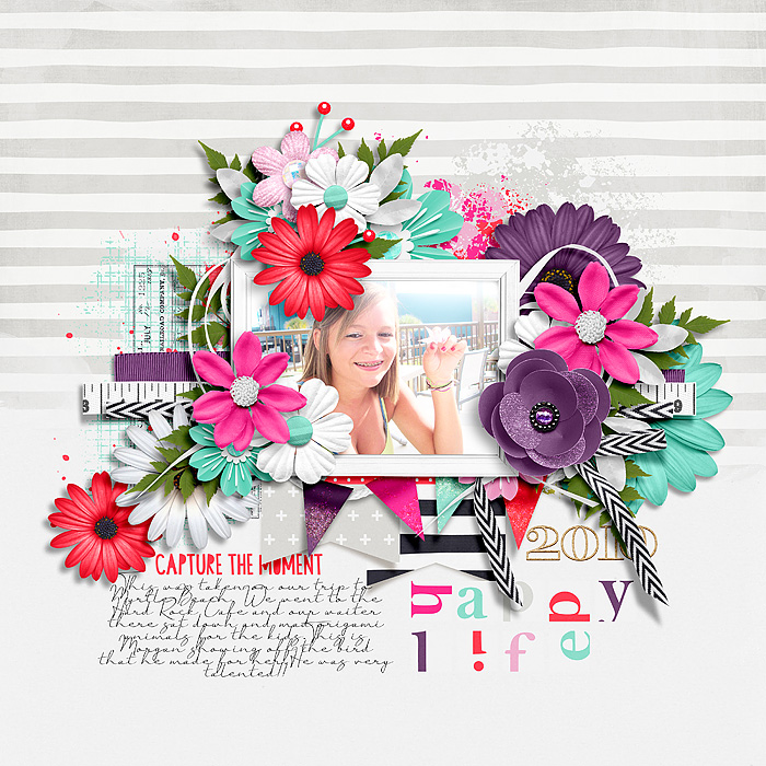 A Happy Life Collection by River~Rose Bingo: June 2018 Templates by Crystal Livesay