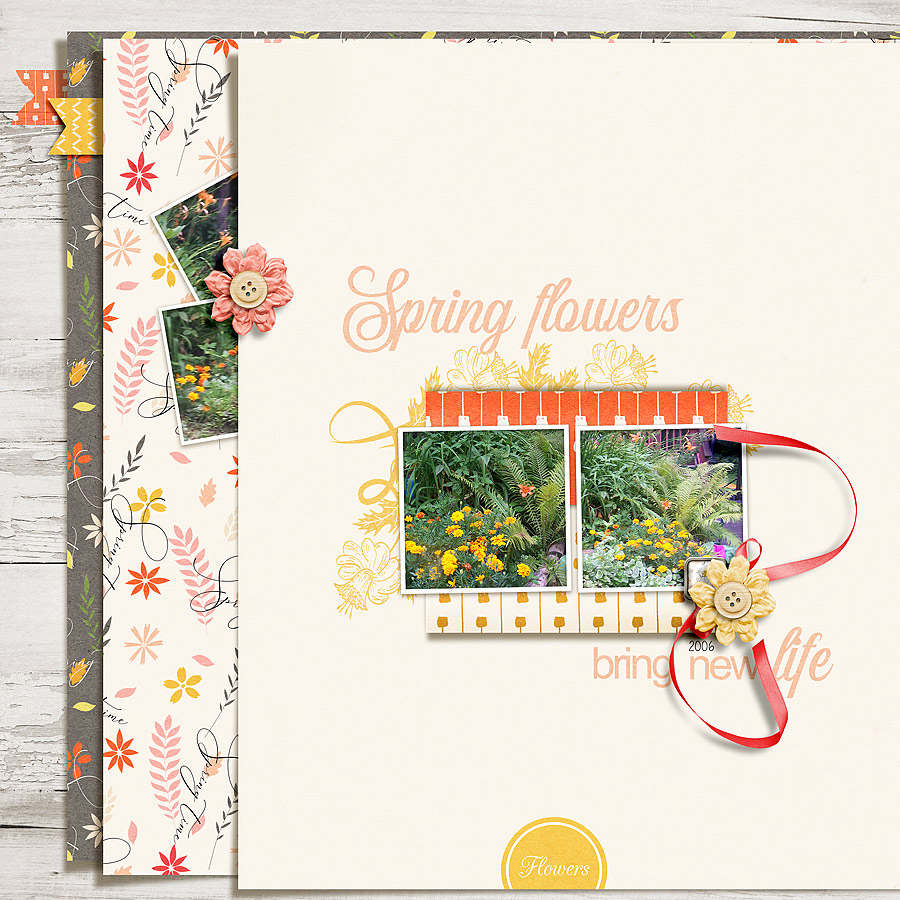 Spring Time - Bundle by Designed by Irma