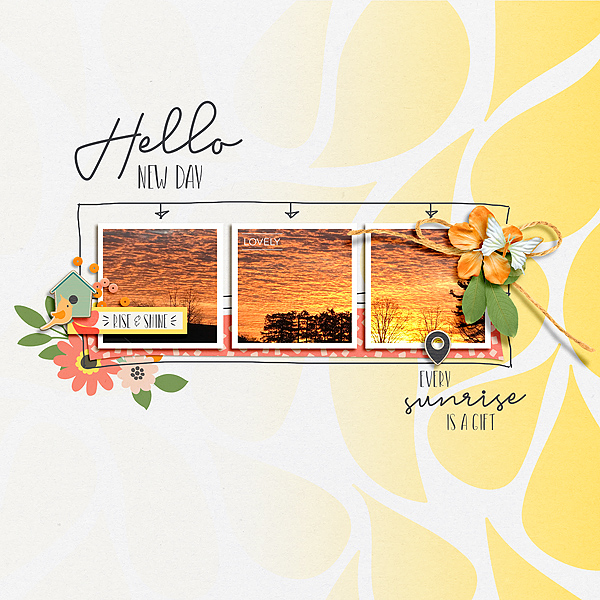 Another Sunrise Papers by Designed by Soco Another Sunrise Elements by Designed by Soco Sprung Templates by Pink Reptile Designs