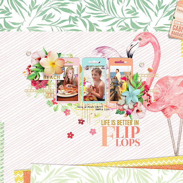 Storyteller 2019 July Collection by Just Jaimee November 2018 Template by Just Jaimee