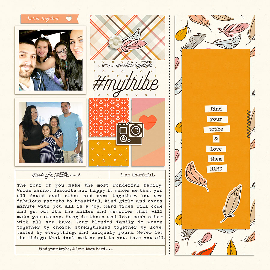 Birds of a Feather | Bundle 3 by Humble and Create A Story Captured Vol 15 | Part 2 by Anita Designs