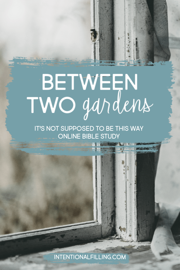 Week One | Between Two Gardens of "It's Not Supposed to Be This Way" by Lysa TerKeurst - Online Bible Study | Intentionalfilling.com