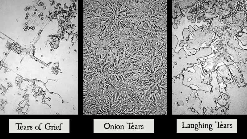 Chemical Makeup of Tears