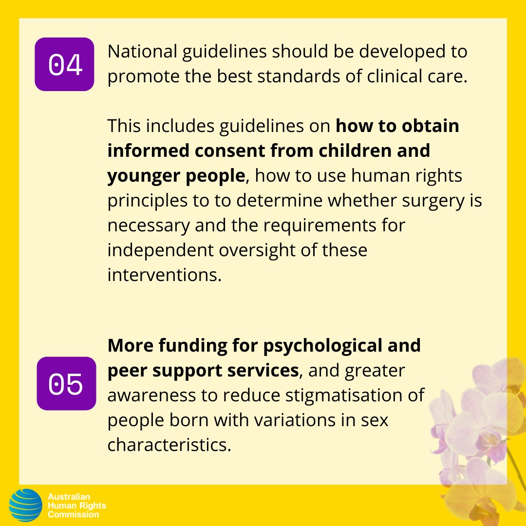 Report recommendations