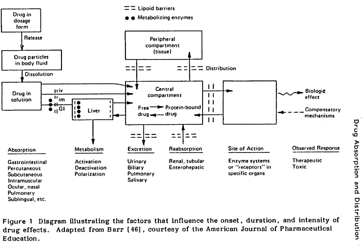 Drug Access Via Different Pathways Download Scientific Diagram - Download Modern Colorful Background | Retina