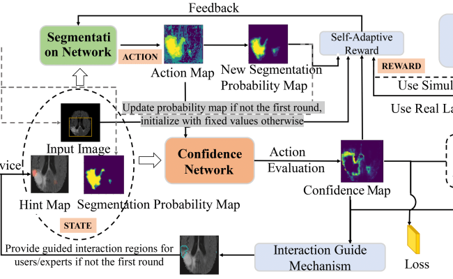 Interactive Medical Image Segmentation