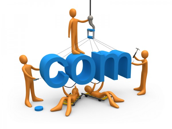 Web Developer