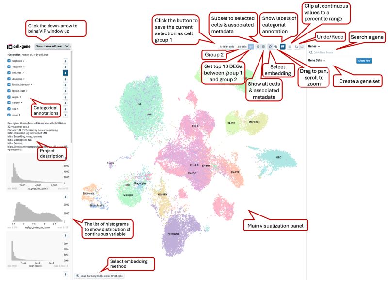 Github Chanzuckerberg Cellxgene An Interactive Explorer For Single - Best Ocean Patterns in High Resolution