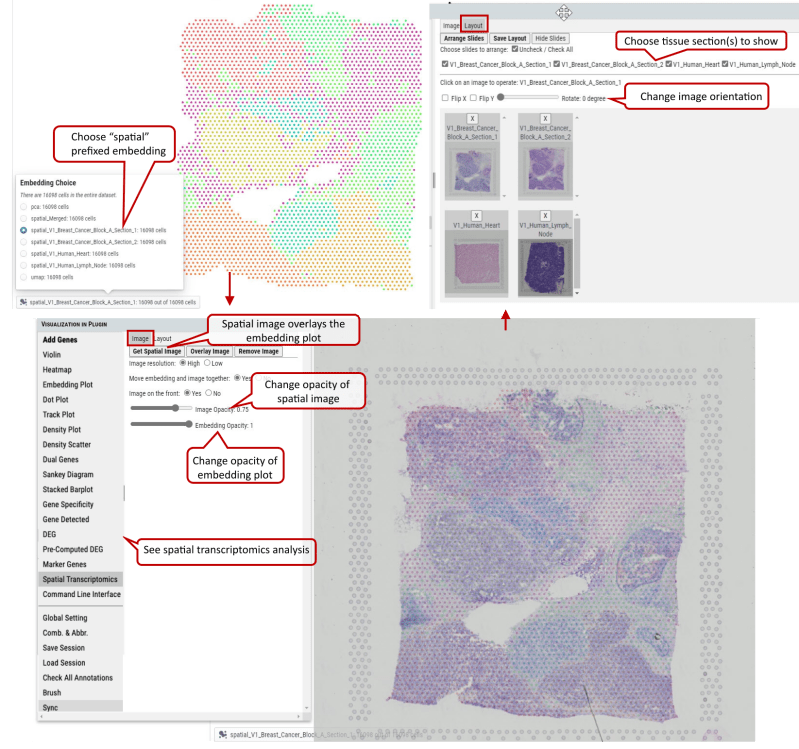 Single Cell Rnaseq Data Visualization Tutorial Cellxgene Vip Youtube - Ocean Pattern Collection - HD Quality