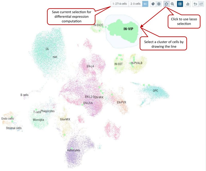 Single Cell Rnaseq Data Visualization Tutorial Cellxgene Vip Youtube - Colorful Images - Beautiful Retina Collection