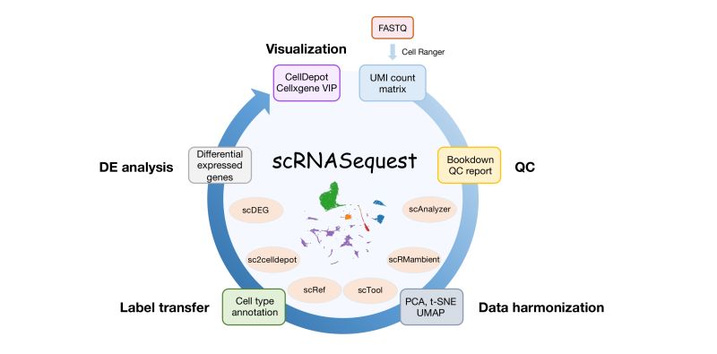 Github Sestanlab Macaque Corticogenesis Scrna Seq - Best Landscape Arts in Desktop