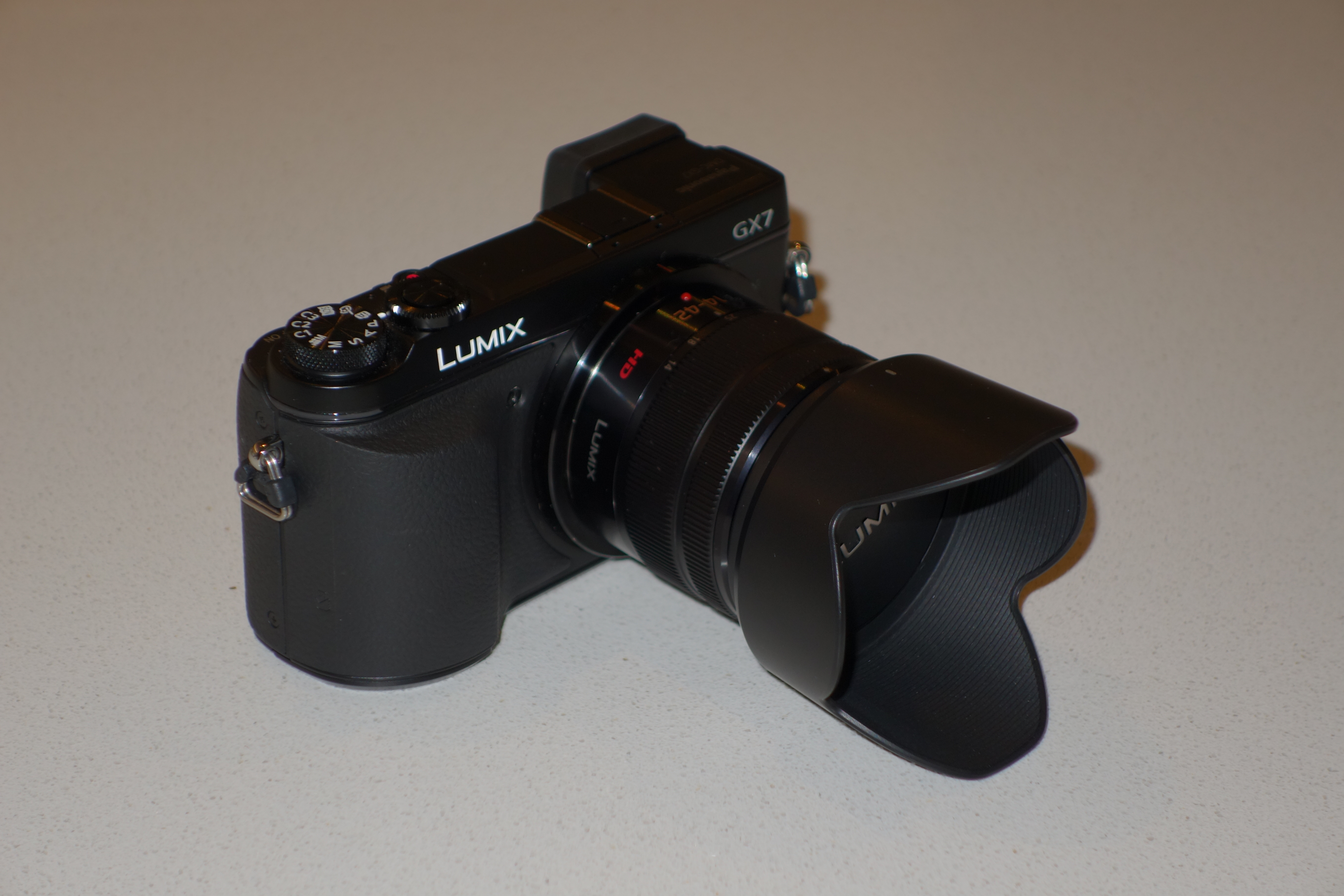 Panasonic GX7 with 14-42 Kit Lens with deepshot zoom gear in macro 