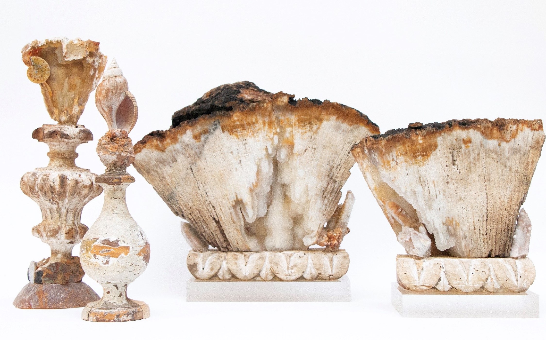 Agate Coral Collection