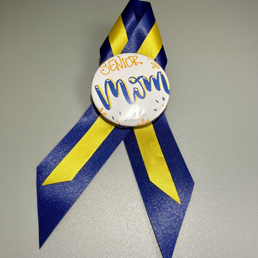 Senior Brag Pins