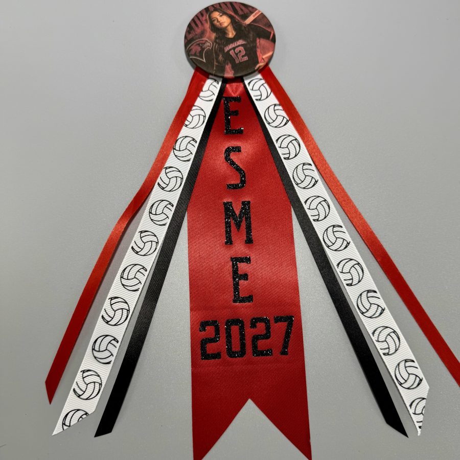 Senior Brag Pins