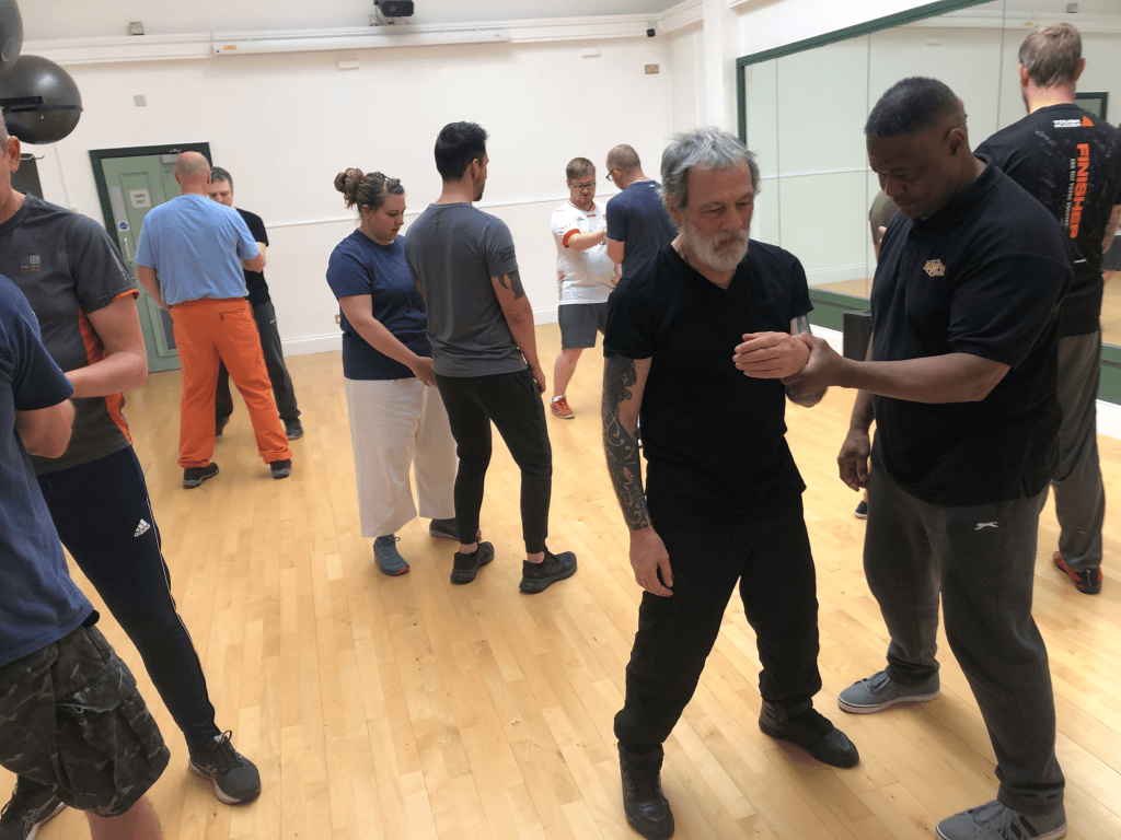 siu nim tao internal wing chun