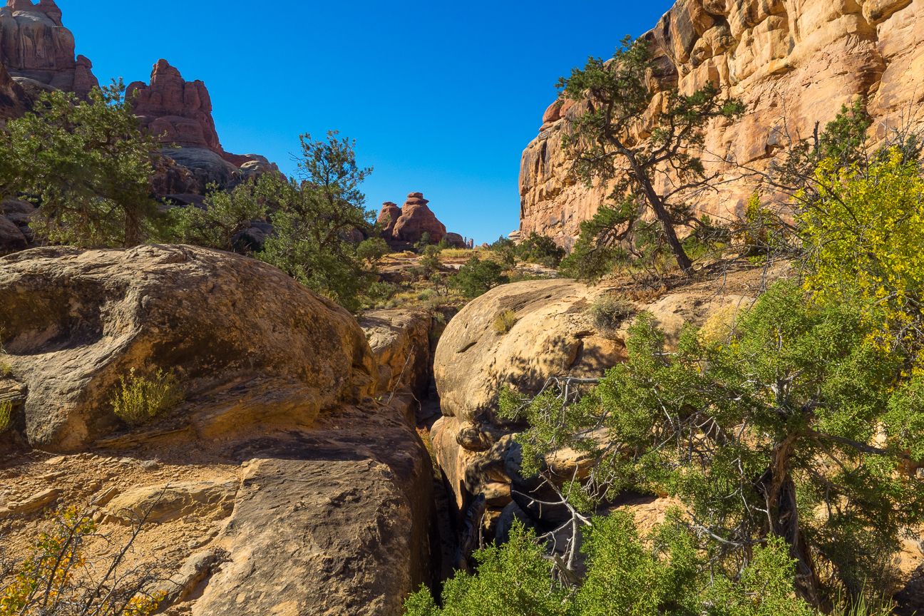 Easily process a return for your scheels.com order by filling out your order number, billing zip code, and email address for a free return label. Meanderthals | Elephant Canyon, Needles District