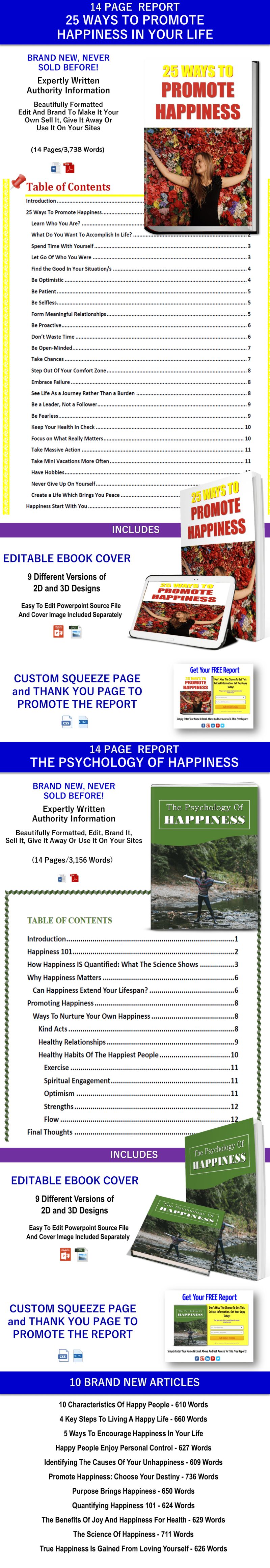 Happiness Plr Article Package - Creative City Picture - Desktop