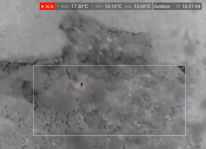 Pest Detection using Thermal Infrared Cameras on Drones