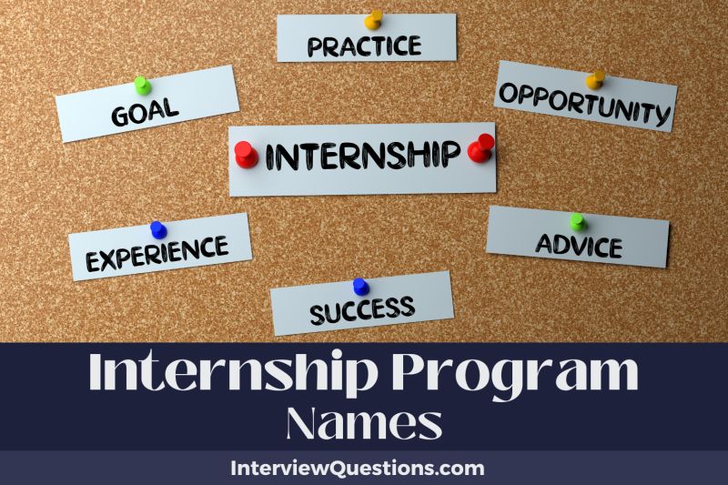 Internship Program Technologica - Landscape Wallpaper Collection - 4K Quality