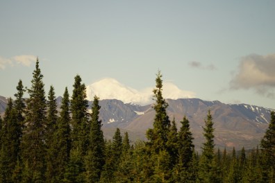 Mt. Denali (quick snapshot through train window)
