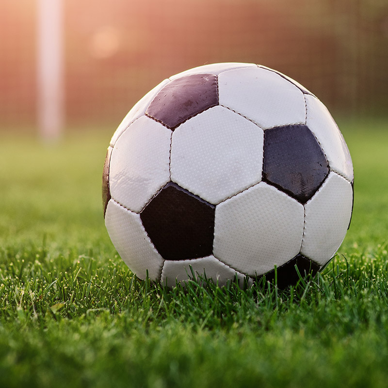 In the net sports complex