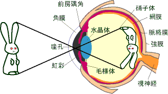画像の説明 画像の説明