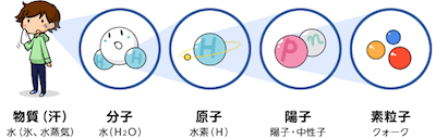 画像の説明