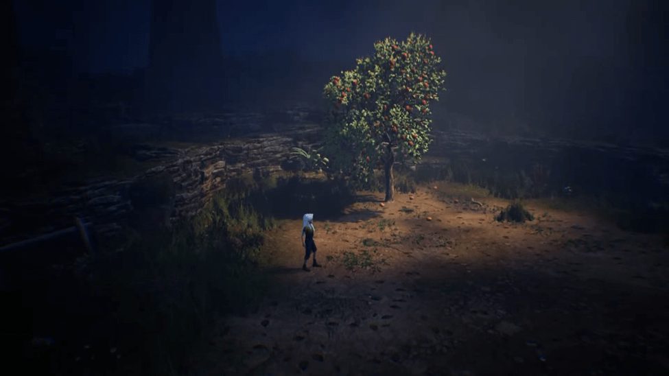 Ayasa Shadows of Silence Flower Area Walkthrough