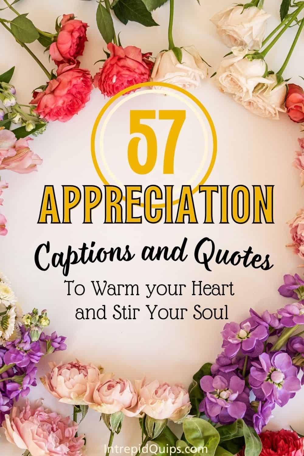57 appreciation quotes that will warm your heart and stir your soul