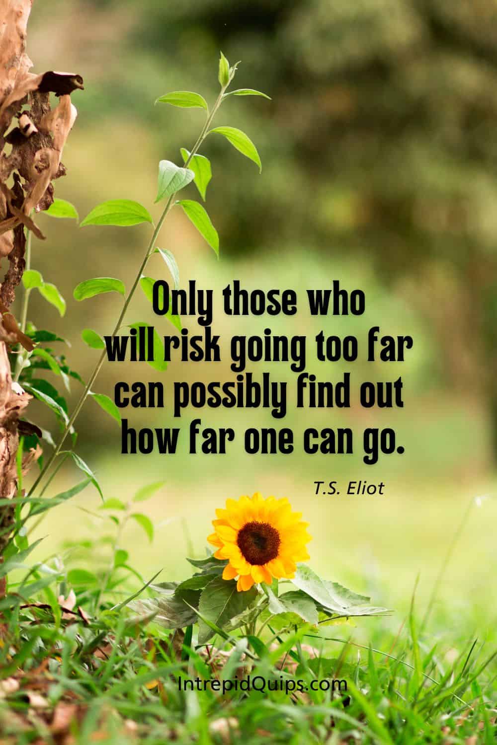 55 overcoming challenges quotes to help you move forward