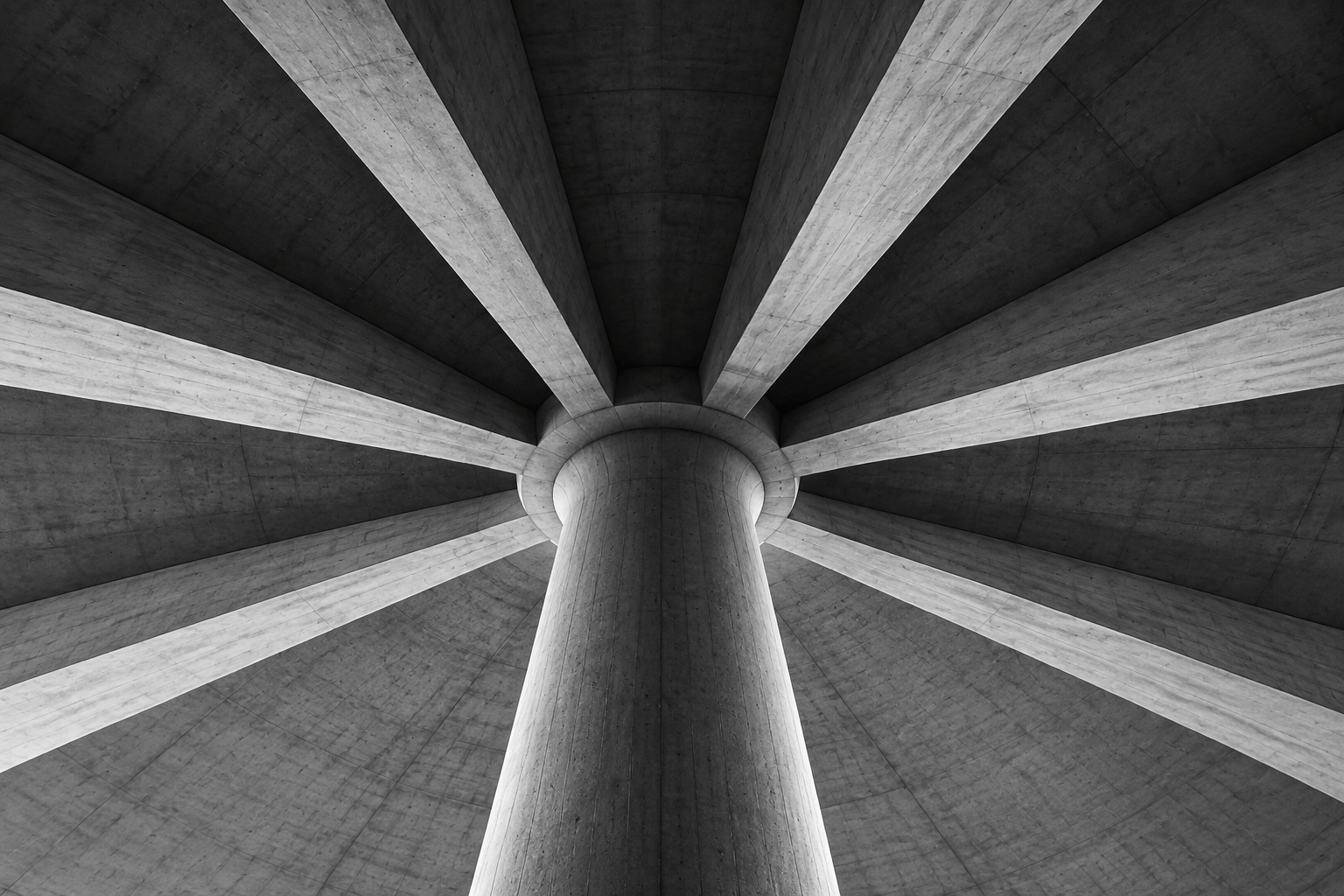 Structural ribs converging on a single concrete column capital