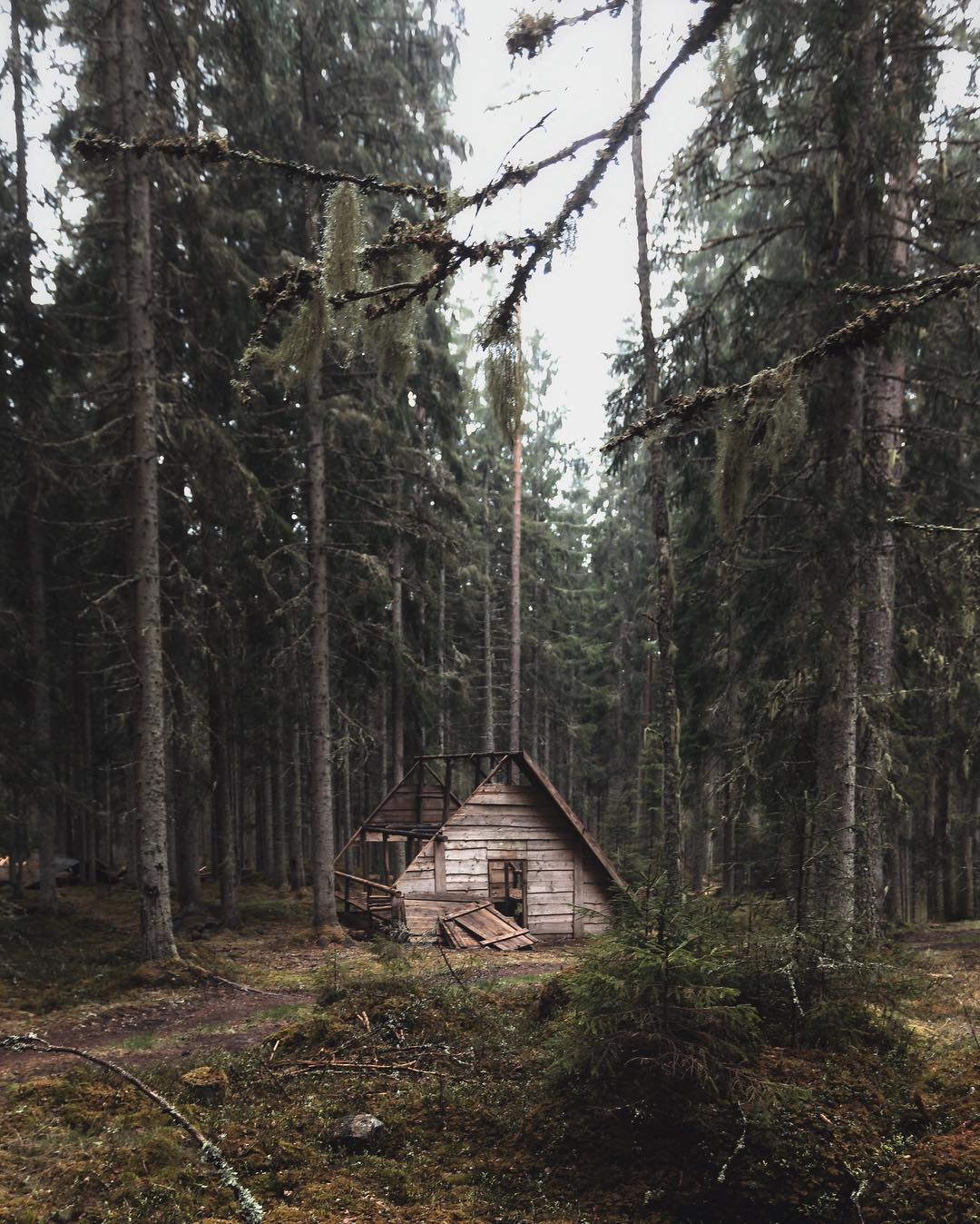 8b13e37740cd451b4bca32a7cf74d7df