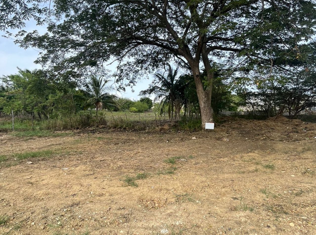 Excelente terreno para desarrollo de vivienda en proyecto cerrado, Gurabo, Santiago