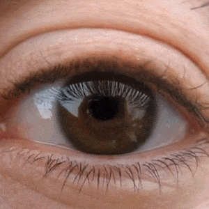 Geoff, a client whose name i've changed to protect his privacy, is a successful entrepreneur. Podcast #3 Reality is an evolved illusion - Inverted Passion