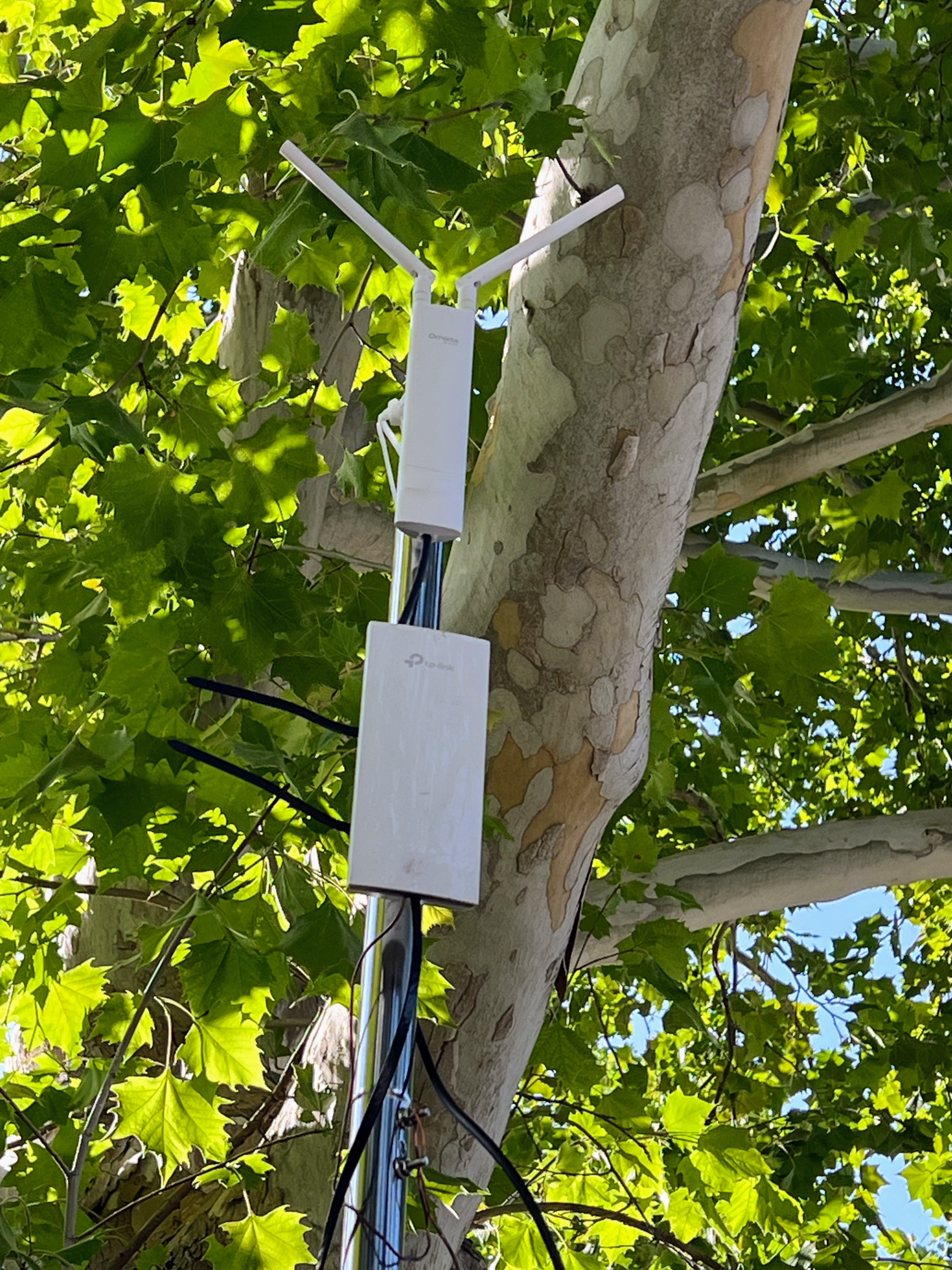 The wireless access points stand proud, tall, and dignified.