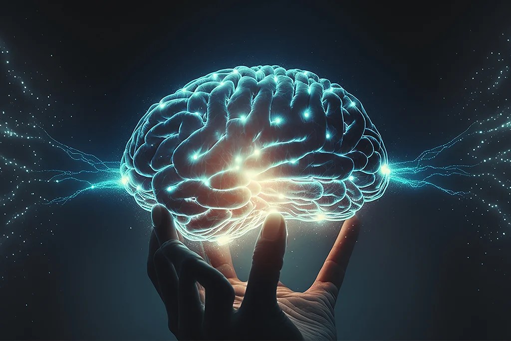 Pocos saben que, desde 2014, se conmemora el Día Mundial del Cerebro. Una jornada para llamar la atención sobre su potencial y, en especial, los cuidados que requiere.