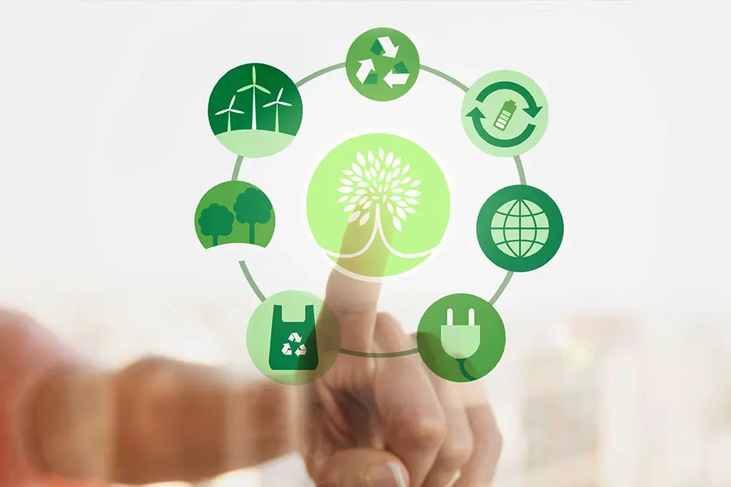 De niños, en la escuela primaria, nos enseñan que la ecología estudia la relación de los seres vivos con su entorno. Sin embargo, nuestros actos cotidianos van en contravía de ese aprendizaje.