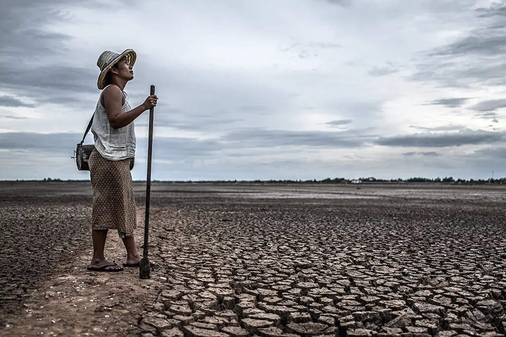 Cada día que pasa sin que realicemos acciones efectivas para cuidar el agua es un día menos de vida que le queda al planeta y a todas las especies que lo habitamos. Es el nuevo dilema al que nos enfrentamos: el agua o la vida.