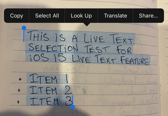 Live Text Feature In iOS 15: Here's How It Works - iOS Hacker