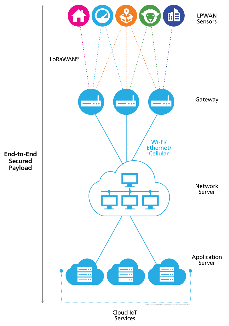LoRa vs LoRaWAN ¿Cuál es la diferencia? Tu fuente experta en IoT