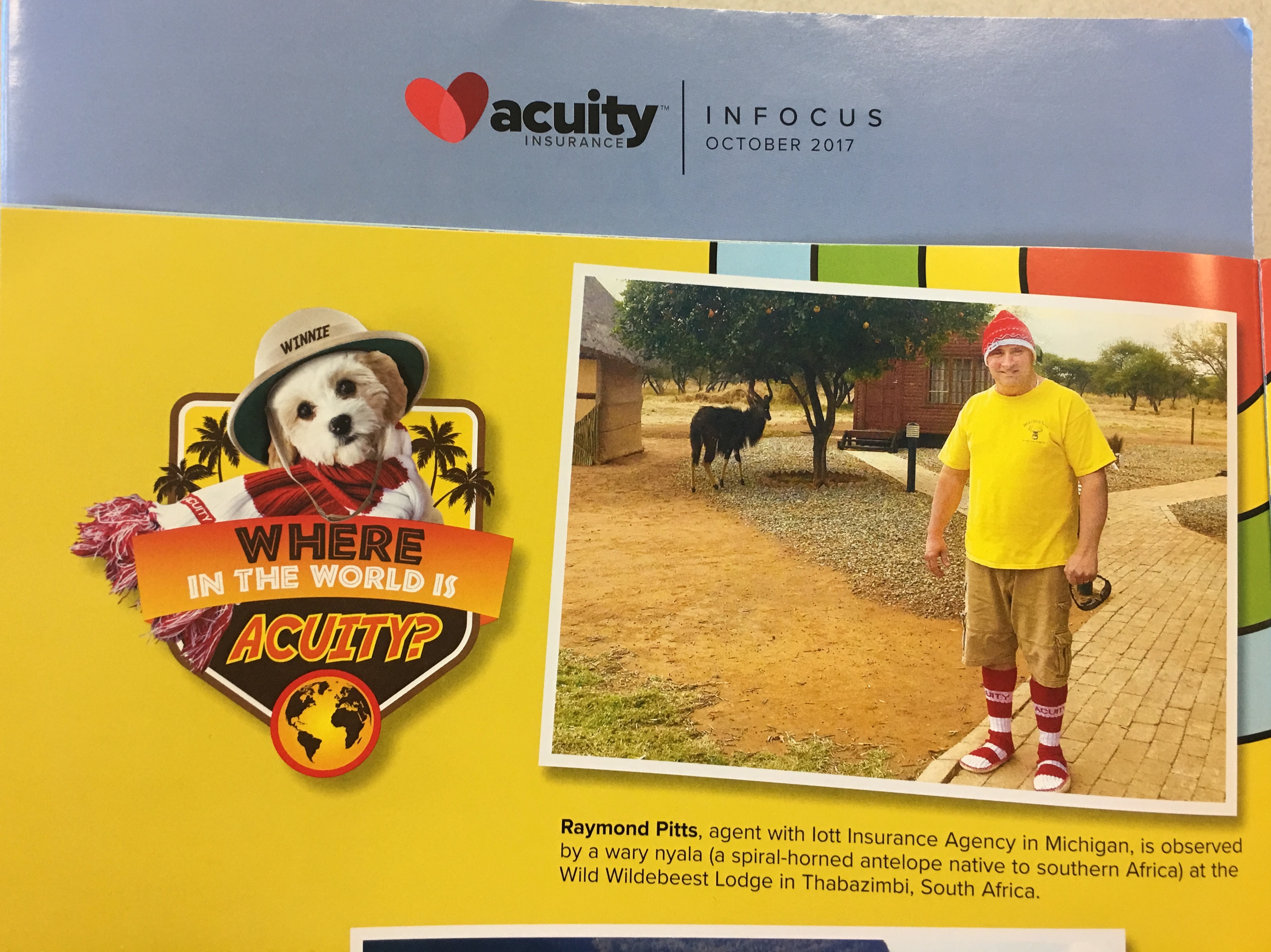 Acuity In Focus Iott Insurance Agency Inc