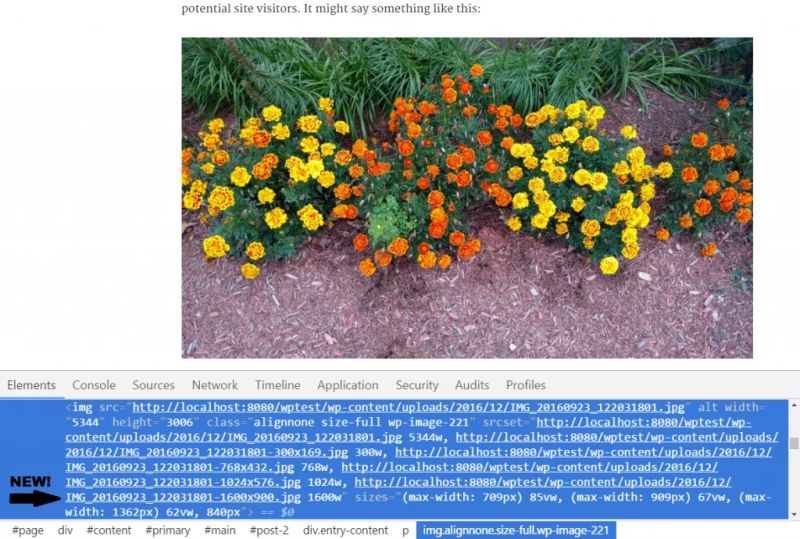 Wordpress Register Image Size Wp Hasty - Premium Geometric Wallpaper Gallery - Ultra HD