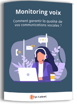 Livre blanc : Monitoring des applications vocales