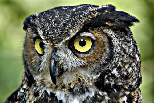 I see you.