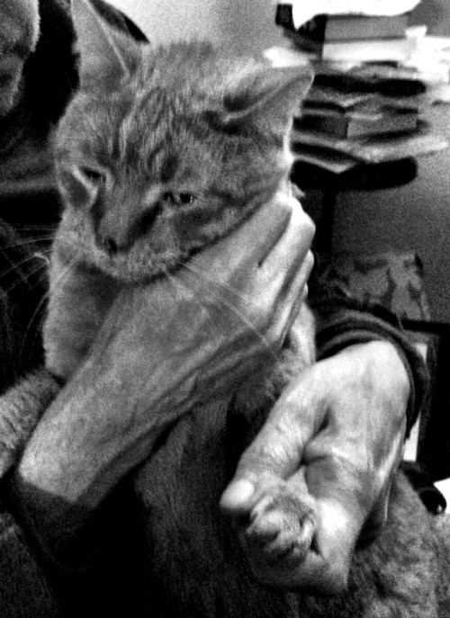 It's an old time ritual. Aged trainer puts gloves on the champ. See Rocky.