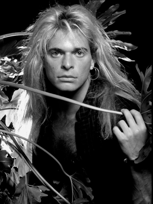 David Lee Roth.