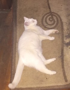 Does she pose? Does she Vogue? Oh yes she does.