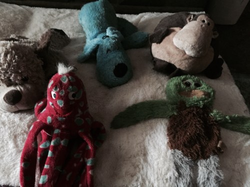 Encouragements for Nijinksi, er, Nylonski, um, Nyquist, the dumb one in Wallander.