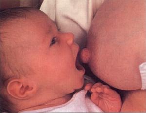 Babies like boobs. Why women think everyone does. And want the gay designers to help them sell it.